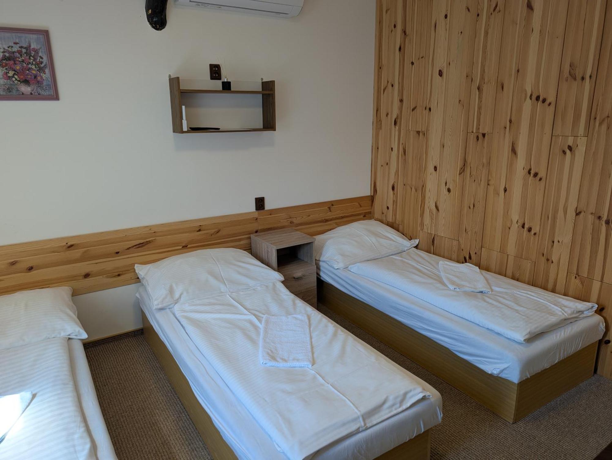 Pension Harcovna Frýdlant nad Ostravicí エクステリア 写真